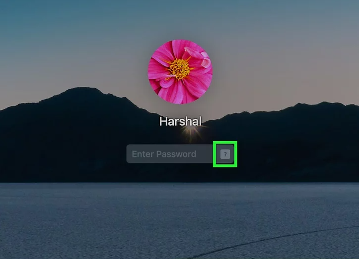 Cliquez sur le point d'interrogation