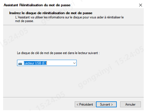 Sélectionnez le disque de réinitialisation