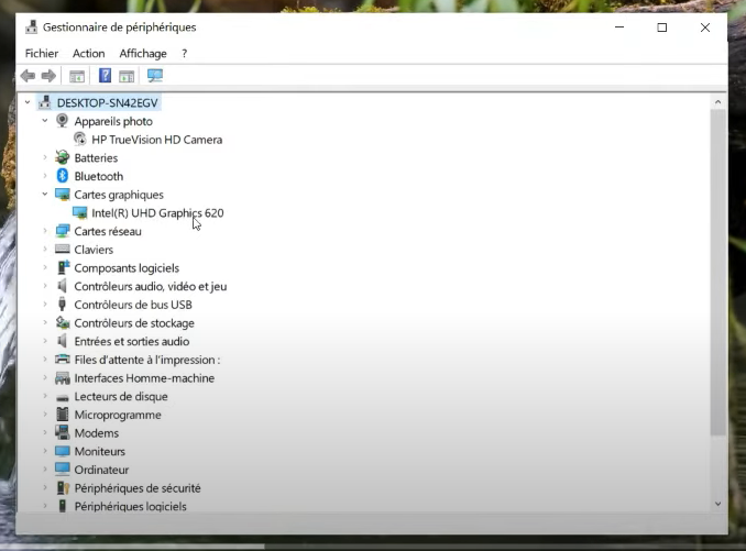 Sélectionnez les options de la carte graphique