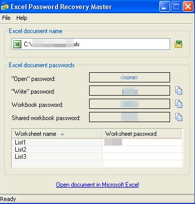 excel password master