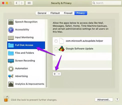 full disk access