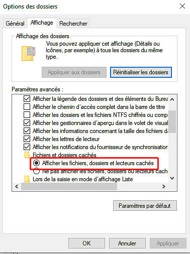 afficher les fichiers cachés windows 10